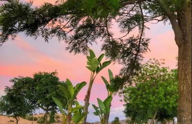 Chill y golf en Torre-pacheco - Foto 29