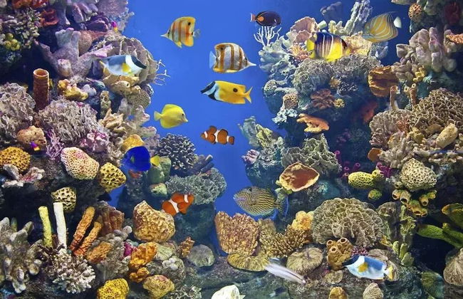 City Stadium One Bedroom Luxe - Foto 26