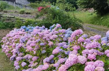 villa taro - Foto 24