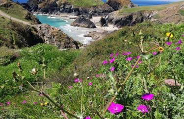 Kitty Unique 60s Caravan set in Pretty Garden - Foto 18