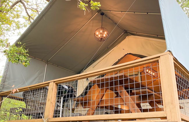 #1 Son's Geronimo - Birdhouse Cabin - Foto 9