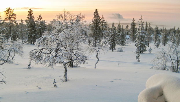 Kelopirtti a - Photo 5, Inside other