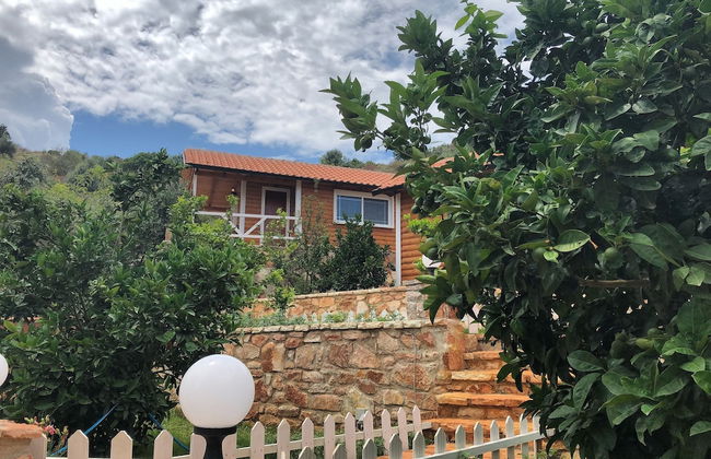 The Mussel House - Foto 1