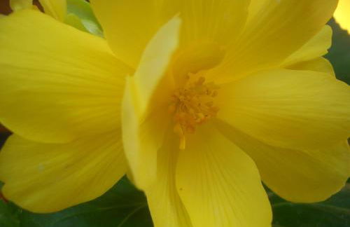 Quintinha dos Cedros - Foto 23