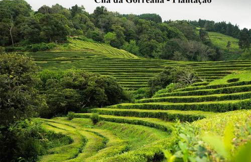 Esperança House 2 - Photo 28