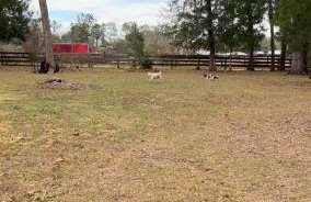 Happy Place near WEC , Natural Springs,Zip-Line - Photo 57