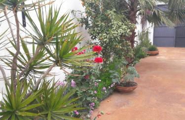 La Casa de la Lluna - Foto 29