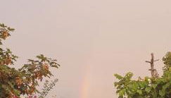 Residence Laguna Beach - Foto 4