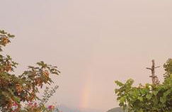 Residence Laguna Beach - Foto 4