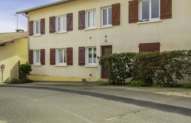 Dans la forêt de Pin - Foto 20