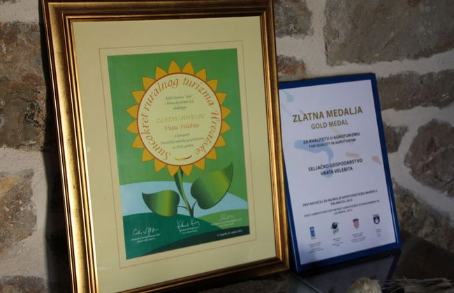 Traditional Stone House Adrian - Foto 15