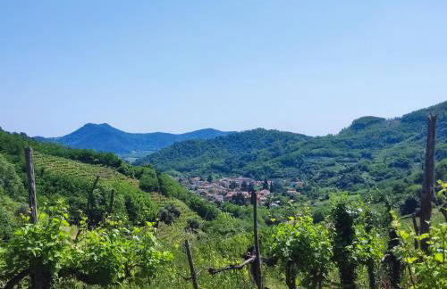 Residence Magnolia - Photo 7