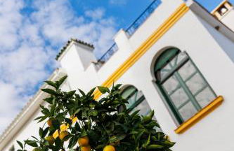 Finca las Pecas - Foto 11