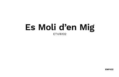 Moli D'en Mig - Foto 22