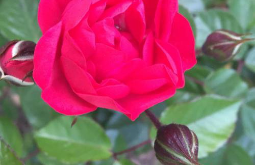 Villa Apart Hotel - Photo 29