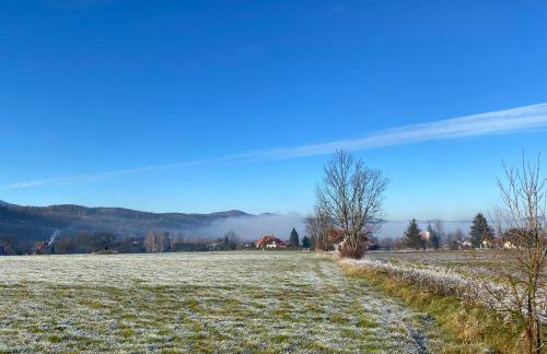 Domek Toskania Sosnówka Karpacz BALIA - Foto 28