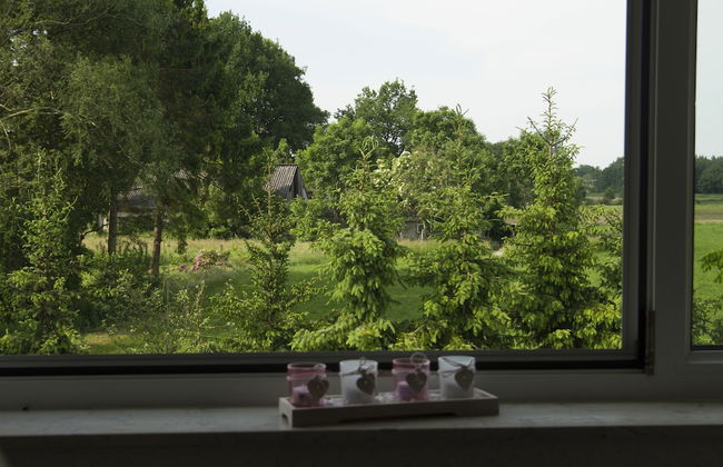 Haus Betty - Foto 26