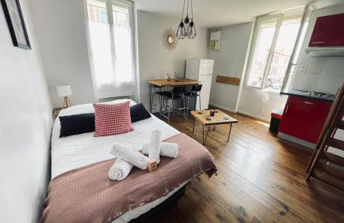 Duplex in the heart of Toulouse - Photo 8