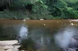 Chácara Morretes Arraial - Piscina e Rio - Photo 73