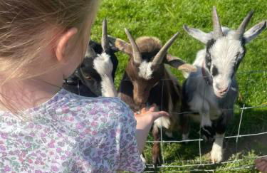 FAIRVIEW FARM Holiday Accommodation 14 Luxury Lodges, Cabins, Dog Friendly, Suitable for Couples, Families and Groups, Wedding Guests , Corporate events, Sleeps 2-65 guests in Ravenshead, Nottingham near Sherwood Forest, set in 88 acres - Photo 25