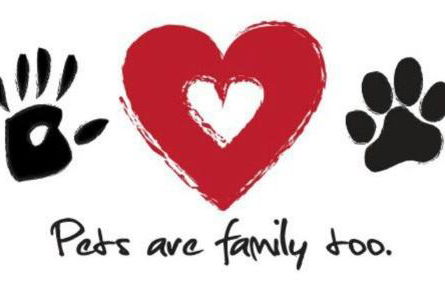 Kasa Kanab Modern Townhome Pet Friendly - Foto 42