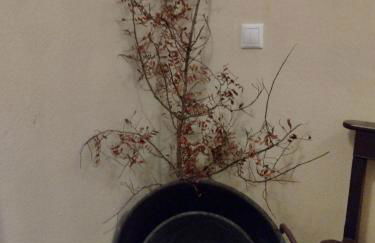 Casa Salvadora - Foto 38