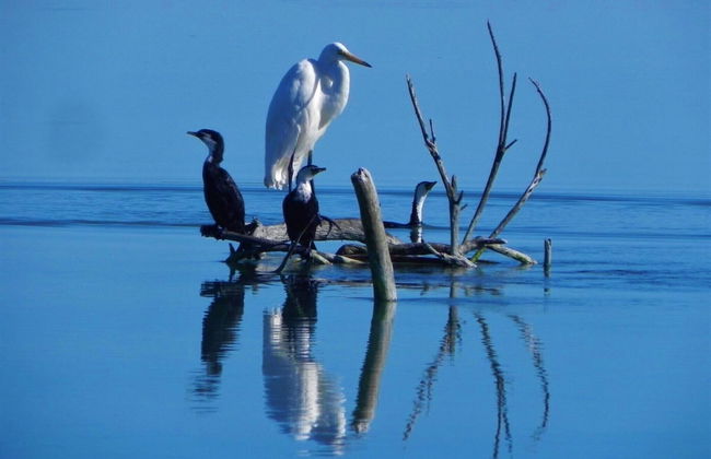 Code Time Lodge - Foto 20