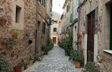 Filoses 18A - Foto 6