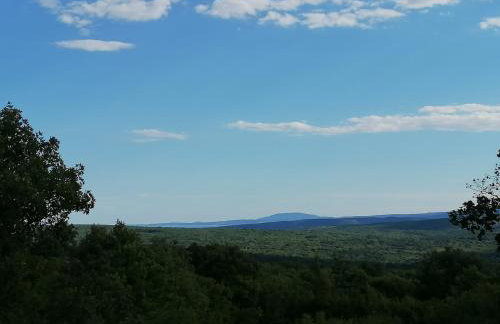 The Forest House Krk 1 - Photo 50