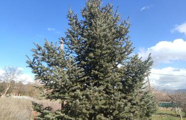 Aithra Studio - Photo 20