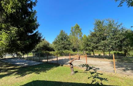 Villa au milieu des pins / bord du lac - Foto 12