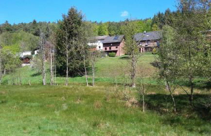 Ferienwohnungen Nibelungenwald - Foto 5