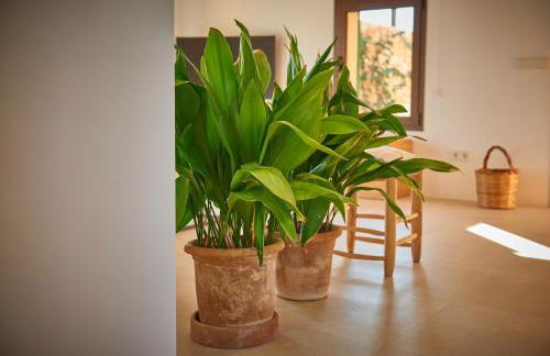 son capellot - Foto 24