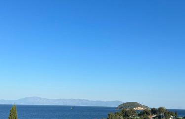 Olivia -Ελιά - Foto 26