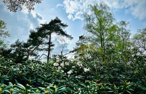 Ferienhaus im Schluh - Foto 20