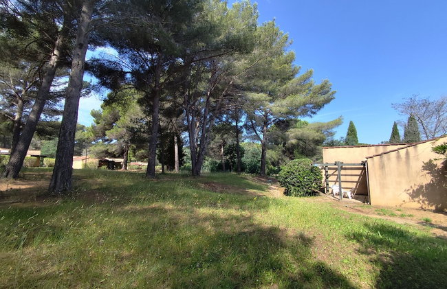 La Manne - Bormes les Mimosas - Foto 44