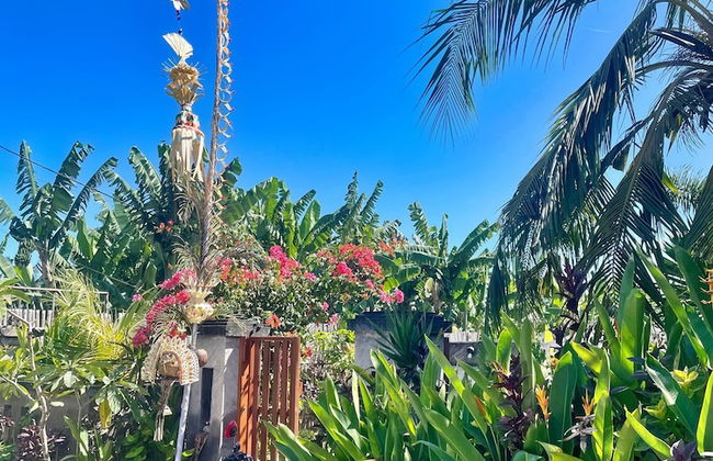 Island Garden Huts & Yoga Shala - Foto 41