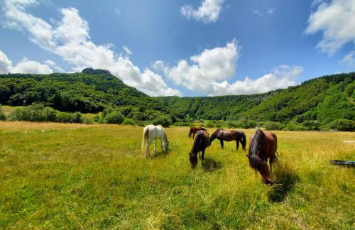 Sancy Resort - Foto 72