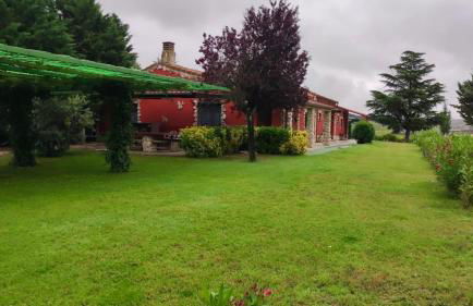 FINCA ENTREVIÑEDOS de Bodegas Marcos - Foto 16