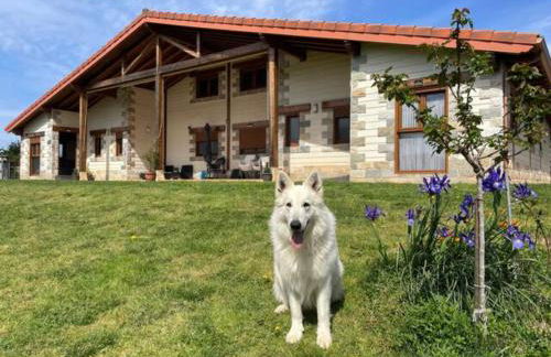 Ven y disfruta en el corazón de Bizkaia-Urdaibai LBI00509 - Foto 8