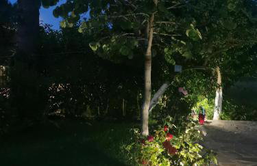 Kardiakafti Village - Foto 42