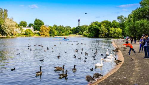 Homely 2-Bed House by Regents Park - Foto 5