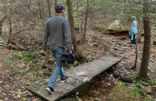 Love Ridge Mountain Lodging - Foto 36