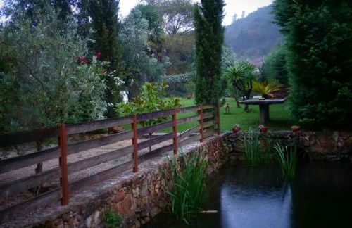 Carregã Water mill - Foto 14