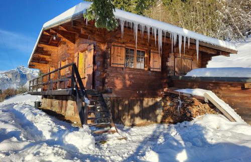 Chalet d'alpage avec vue incroyable - Foto 61