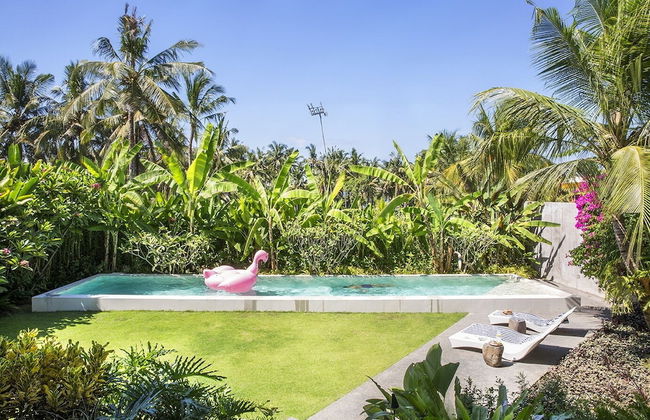 caSabama by Nakula - Foto 18