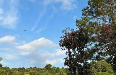 Recanto Paraíso - Foto 17