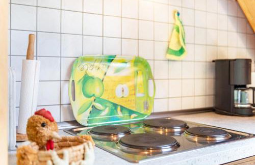 Beutenmühle Straussenfarm Dach - Photo 30