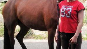 Schwoererhof - Photo 2