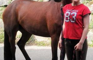 Schwoererhof - Photo 2